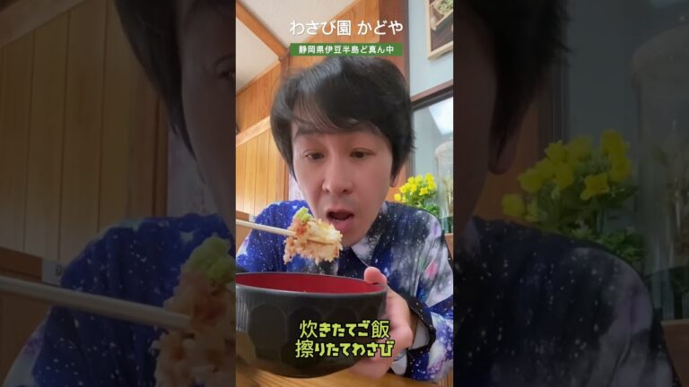 伊豆「わさび園 かどや」