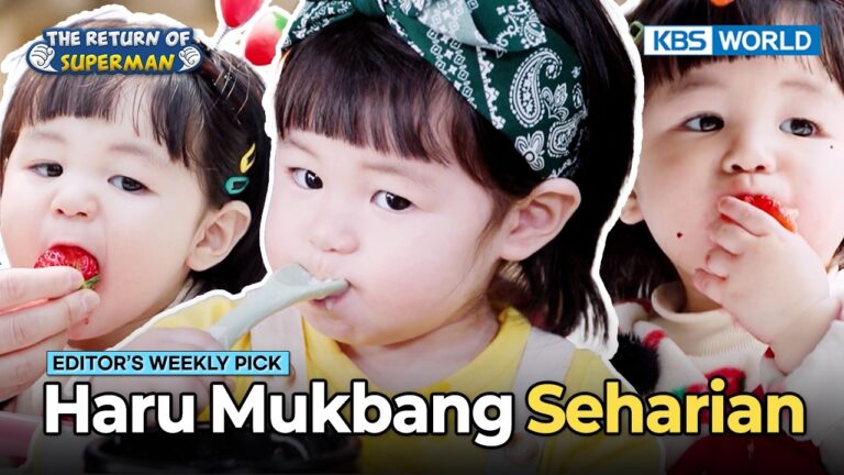 Dari Hiking, Gukbap Pertama, Hingga Stroberi Sepuasnya 🥹 | Recap TROS | KBS WORLD TV 260503