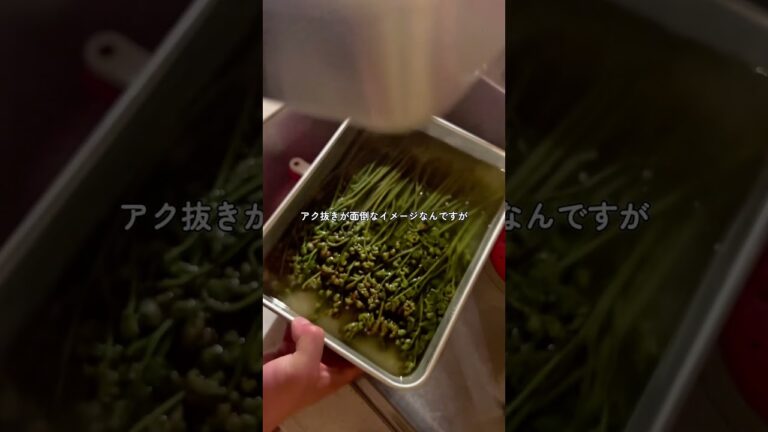 日本の焼肉屋では見かけないけど、わらびのナムルが美味すぎるのでオススメしたい #shotrs