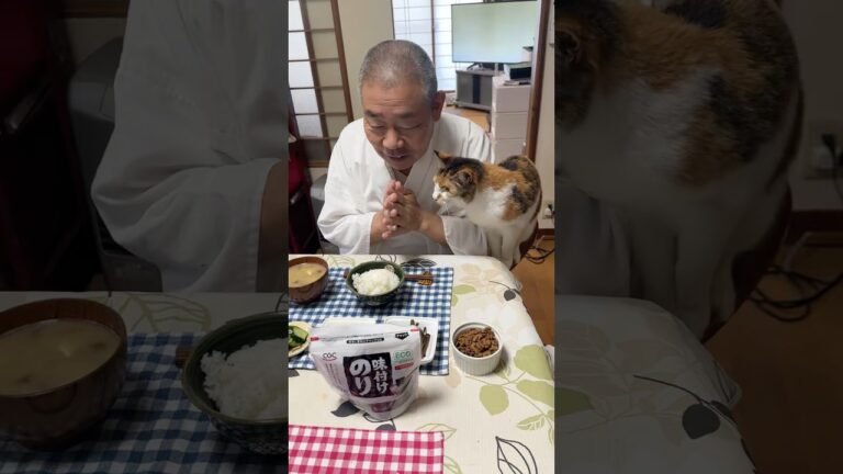 #住職の朝ごはん ホタテの佃煮 きゃらぶき きゅうりの漬物 なめこの味噌汁 とごはん #猫 #猫のいる暮らし #那須の長楽寺