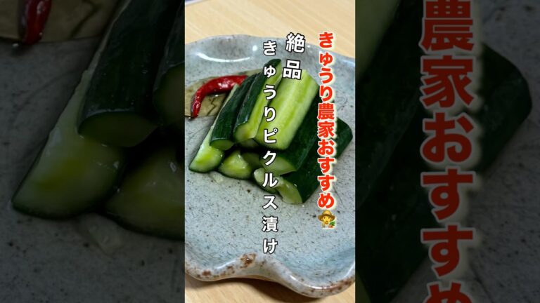 きゅうり農家がおすすめする疲労回復効果レシピ【きゅうりのピクルス】