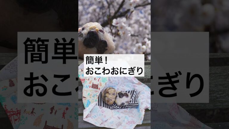 準備3分🌸お花見に「チンするおこわ」が最高すぎた。