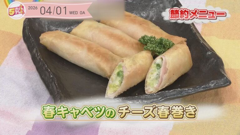 ５きげんクッキング ～春キャベツのチーズ春巻き～