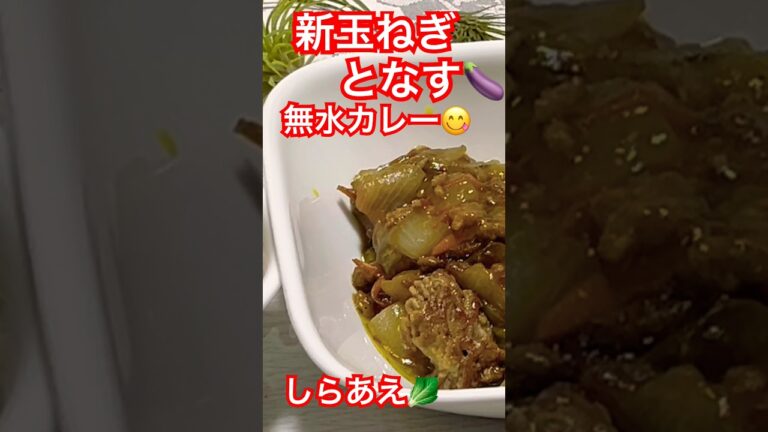Waterless Onion & Eggplant Curry! 🍛😋 新玉ねぎとなすの絶品無水カレー！水なしで素材の旨みを凝縮したプロの味 (Built by Yu-chan)26年5月3日