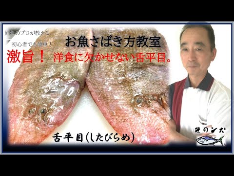 【アカシタビラメ(赤平目)イヌノシタのさばき方】初心者用![ムニエル・唐揚げ・煮付け] by鮮魚店 きのした生魚店(広島県東広島市西条)