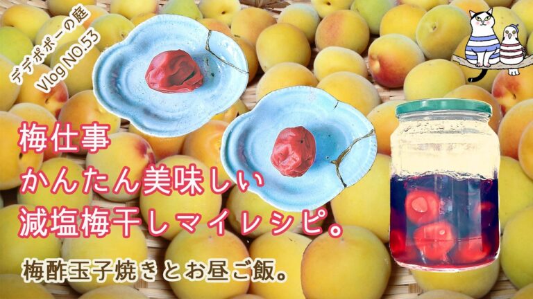 初夏の梅仕事。やっと見つけたかんたん美味しい減塩梅干しマイレシピ。梅酢卵焼きでお昼ごはん【60代vlogゆるく愛でる暮らし】NO.53