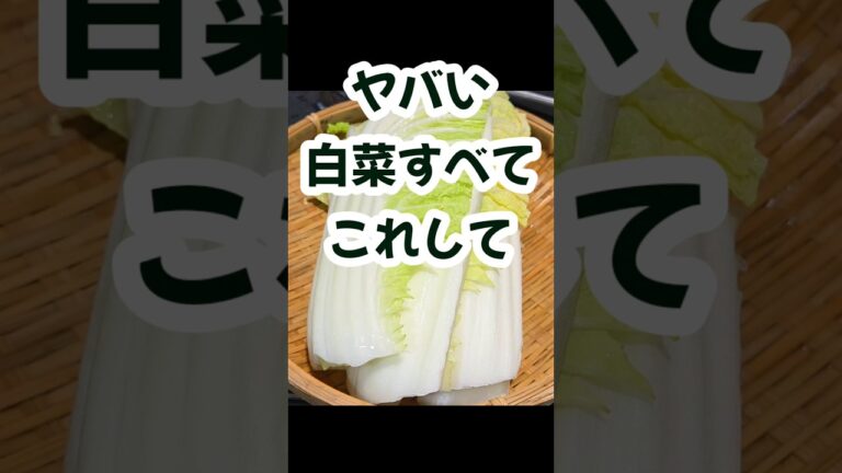 世界一うまい！この世から白菜と酒とコメがなくなるくらい美味い！無限白菜漬け 漬物 簡単 作り置き 副菜 常備菜 痩せるレシピ