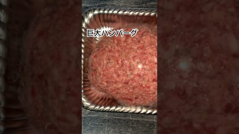 巨大ハンバーグ、柴犬ハクション大魔王