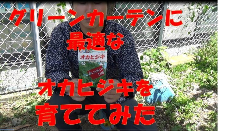 夏だからオカヒジキを育ててみた