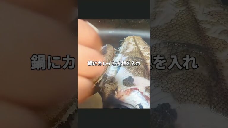 カレイの煮付け #カレイの煮付け #簡単レシピ #おうちごはん