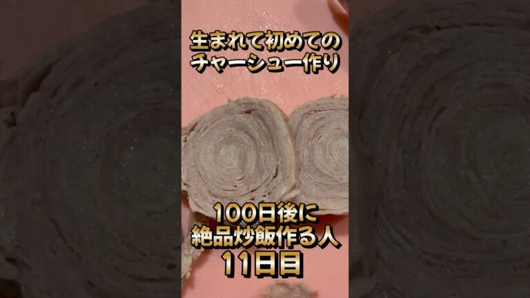 生まれて初めてチャーシューを作ってみたパチンカス。100日炒飯11日目。