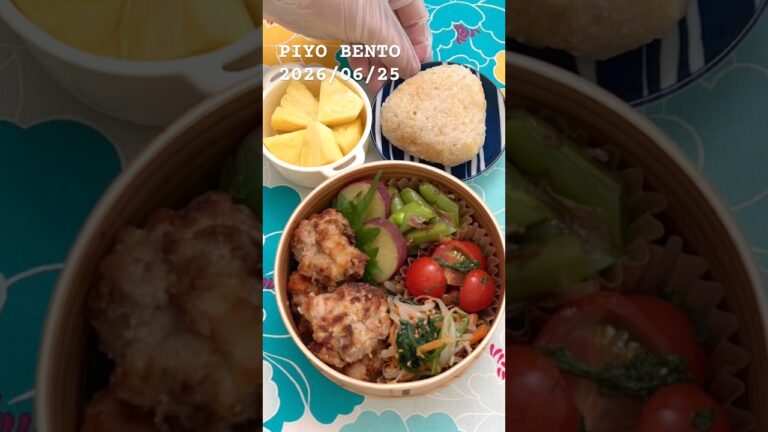 PIYO BENTO 576