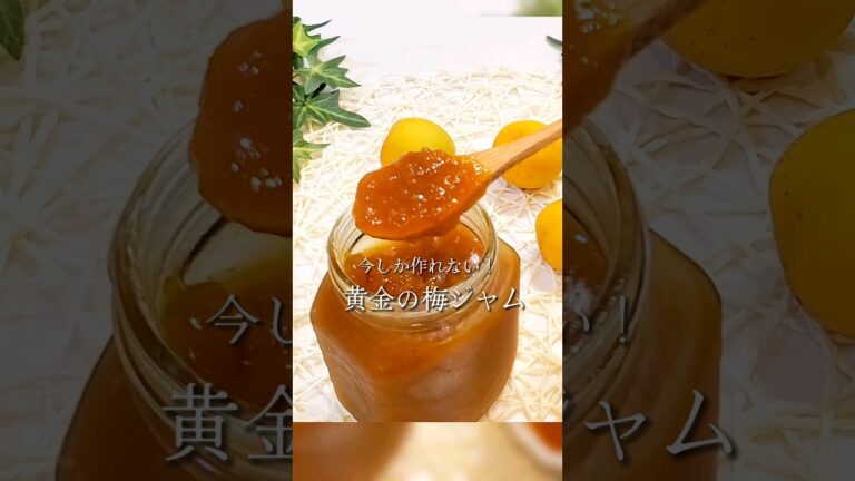 《砂糖不使用》すっぱい梅ジャムの作り方！健康甘味料を使って身体が整うヘルシーな完熟梅ジャム