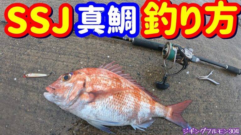 SSJで狙う真鯛のカルパッチョ！【スーパーライトショアジギング】ジギングフルモン304