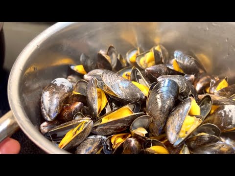 【ムール貝の白ワイン蒸し】自宅でパリのビストロと同じ味を完全再現🇫🇷
