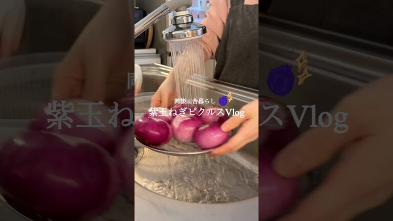 改【 長期保存 】万能紫玉ねぎピクルス🪻✨