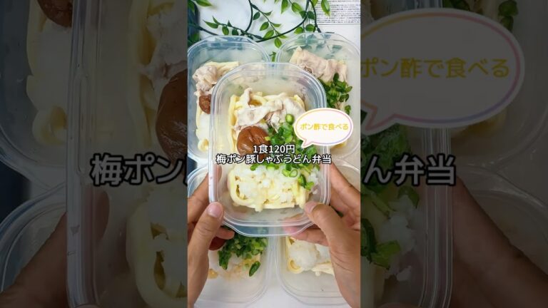 1食120円/梅ポン豚しゃぶうどん弁当