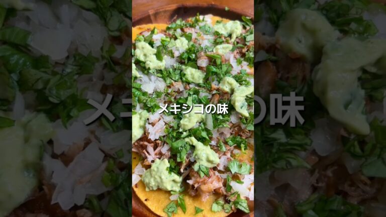 メキシコ屋台の味を再現！ほろほろカルニタスタコス #タコス