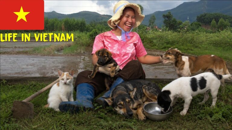 Living Alone With 5 Dogs – A Lonely Life in Rural Vietnam (No Parents, No Children)