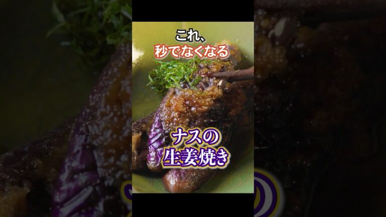 ナスは全部これでいい！美味しいのに簡単！【ナスの生姜焼き】