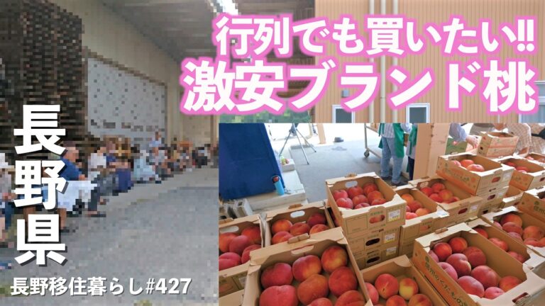【長野移住】今年も夏恒例の激安川中島白桃を買いに行ったら大行列だった!!｜ＪＡグリーン長野 松代農業総合センター 農産物直売所｜川中島｜長岡まつり大花火大会｜ドライブ｜田舎暮らし｜長野県｜新潟県｜4K