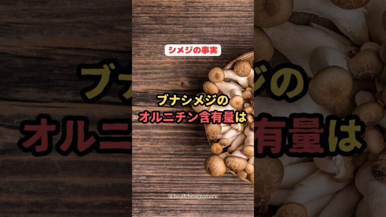 シメジの事実　ブナシメジのオルニチン含有量は、、、#shorts #しめじ