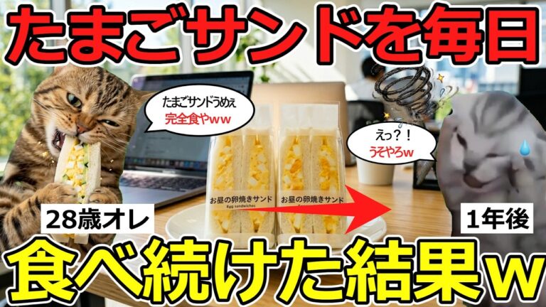 【意外】たまごサンドを毎日食べ続けた結果ｗｗ 【猫ミーム】