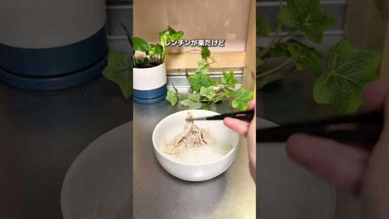 56日目　しらたき麺1食置き換え何キロ痩せる？　#ダイエット #ダイエットレシピ #検証