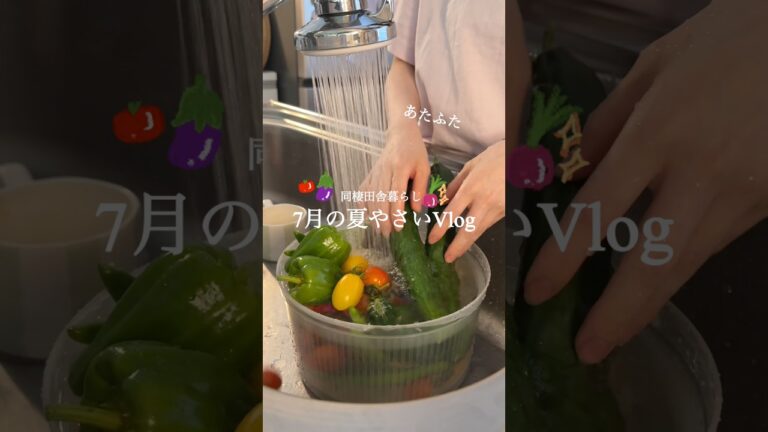 【 田舎の夏やさい👒🌻 】お手軽ラタトゥイユの作り方🥣