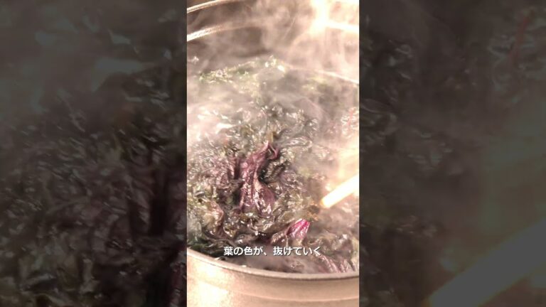 手作り 赤紫蘇ジュースの作り方 / Homemade Red Shiso Juice