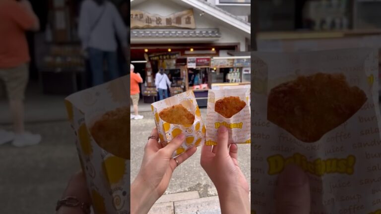岩国名物のれんこんを使用したれんこんコロッケ【グルメ】 #food #山口県 #岩国市 #食べ歩き #foodtrip #foodvlog #錦帯橋