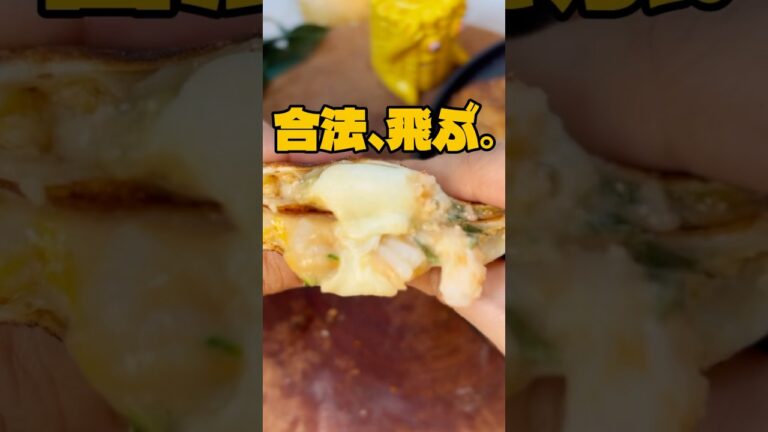 【爆音ASMR】元料理人の結論。エビニラは一生これ。CRISPY Shrimp Dumplings. おわり。