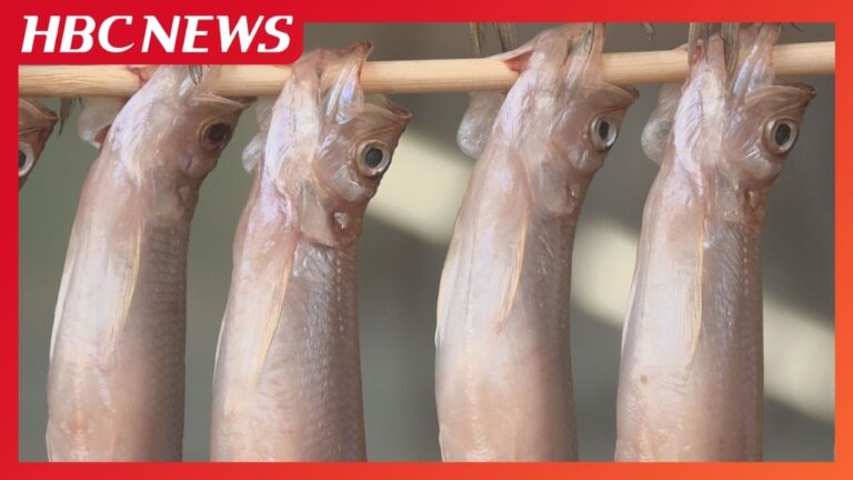 「買えてうれしい」客も笑顔 4年ぶりに特産シシャモが店頭に並ぶ 店内では焼き立ての旬を味わう 北海道むかわ町